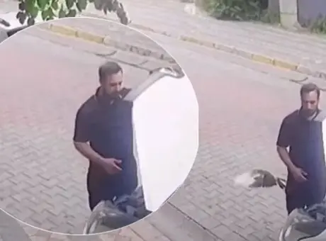 İstanbul’da sürücüler kaput ve direksiyon altında şaşırtıcı misafirlerle karşılaştı