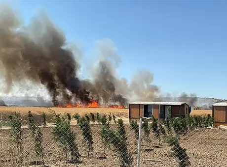 Tekirdağ Marmaraereğlisi’nde buğday tarlası ve konteynerlerde çıkan yangın kısa sürede kontrol altına alındı