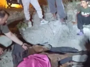 Düziçi’nde minibüsün çarptığı başıboş at ‘Haybulans’ ile kurtarıldı