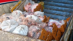 Sakarya’da sucuk işletmesinde 5 bin 500 kilogram etiketsiz et tespit edildi