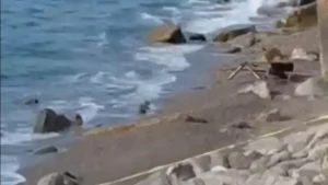 Zonguldak Filyos Sahili’nde kıyıya vuran askeri İHA