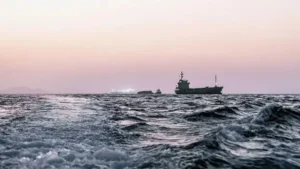 Hürmüz Boğazı’nda mahsur kalan gemiler ‘biyolojik istilaya yol açabilir’