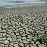 İngiltere’den El Nino uyarısı: 100 yılın en büyüğü geliyor