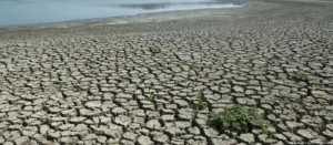 İngiltere’den El Nino uyarısı: 100 yılın en büyüğü geliyor
